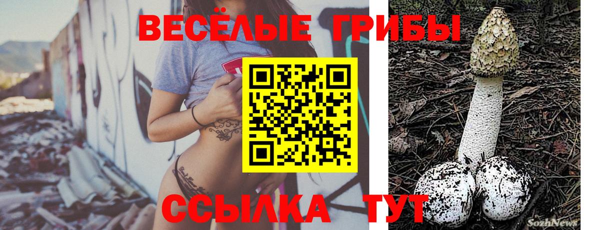 Галлюциногенные грибы GOLDEN TEACHER Кстово