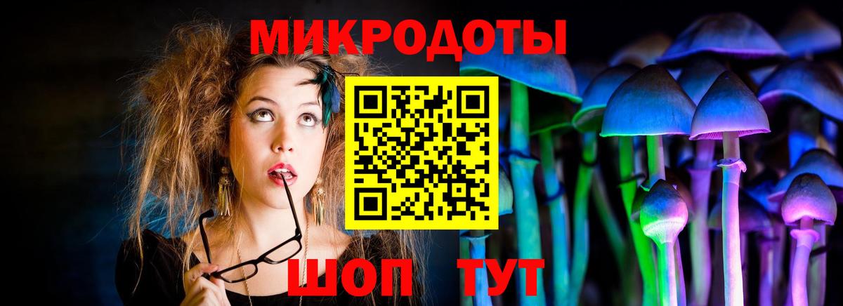 Псилоцибиновые грибы GOLDEN TEACHER  магазин  наркотиков  Галлюциногенные грибы Magic Shrooms  Кстово  Вход с VPN 